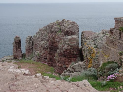 coast fréhel roof