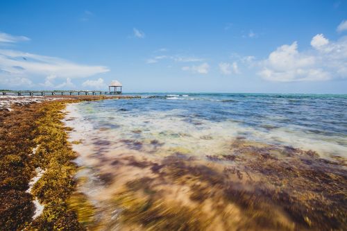 coast shore waves