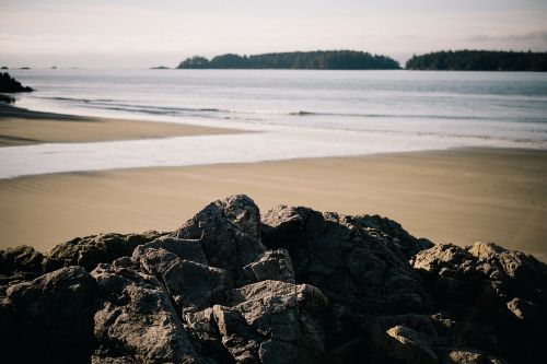 coastline coast shore