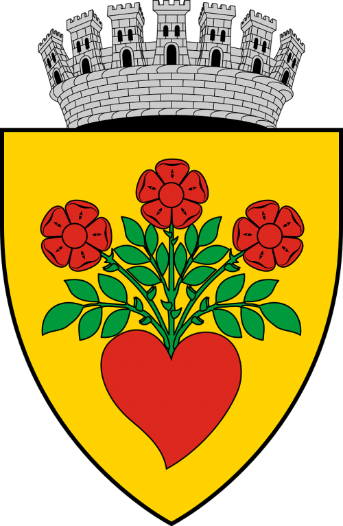 coat arms emblem town