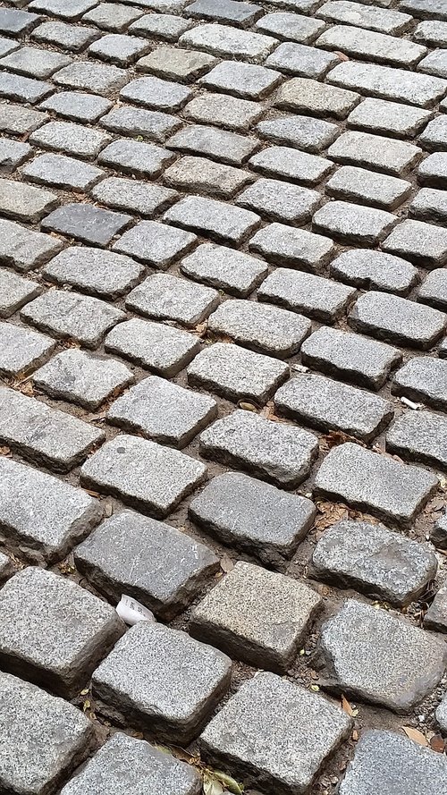 cobble  stone  street