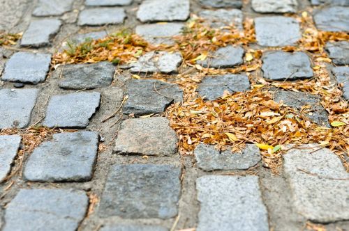 cobblestone fall autumn