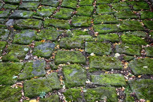 cobblestones moss green
