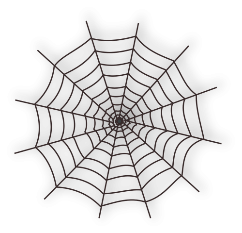 cobweb spiderweb spider's web