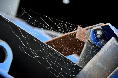 cobweb spider hotel