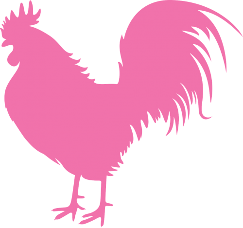 cock new year vector symbol