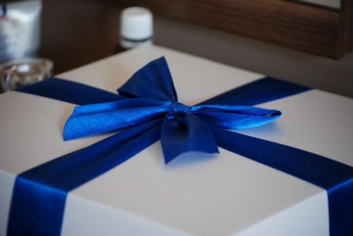cockapoo bow gift