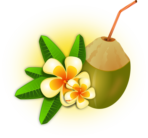 cocktail coconut drink