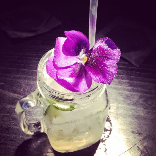 cocktail flower drink