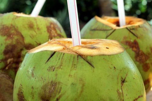 coco coconut water cocktail