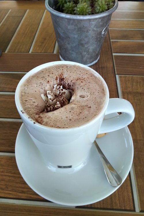 cocoa  coffee  chocolate