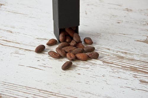 cocoa bean black brown