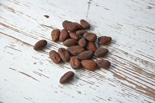 cocoa bean black brown