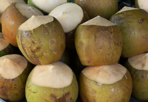 coconut nut healthy