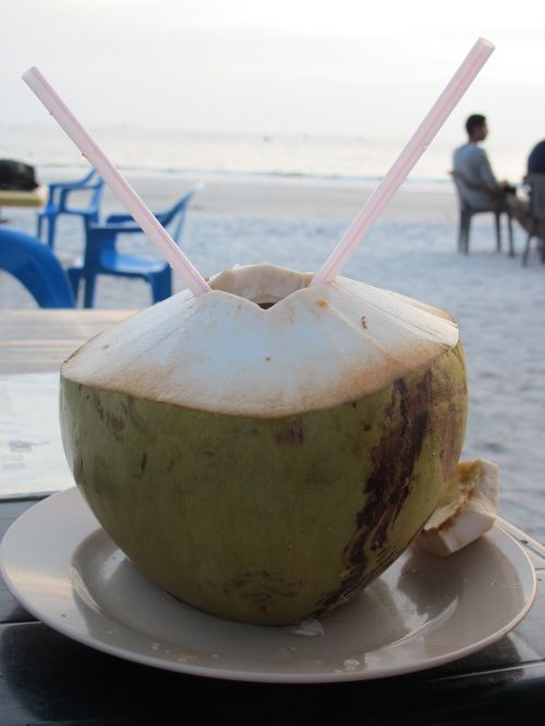 coconut beach malaysia