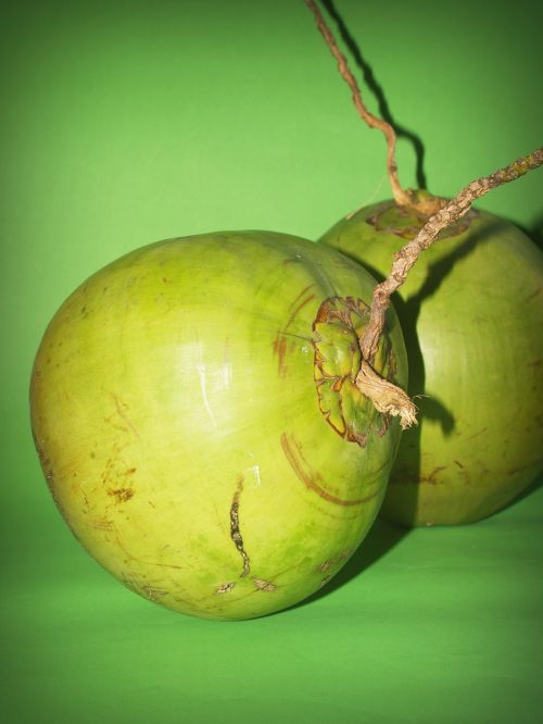 coconut green white