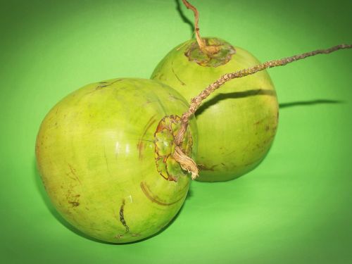 coconut green white