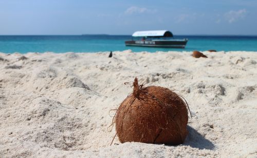 coconut beach sand