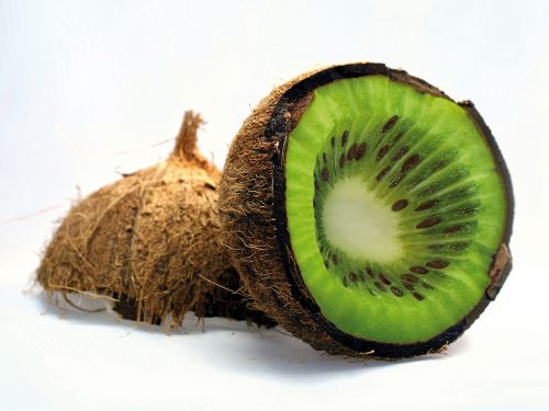 coconut kiwi fruit