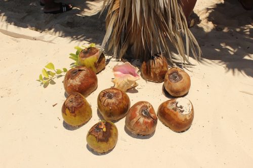 coconut water sand