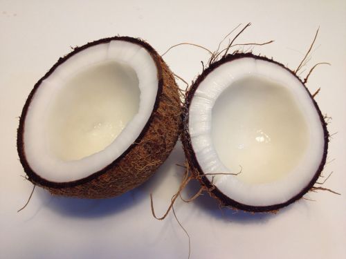 coconut food gastronomy