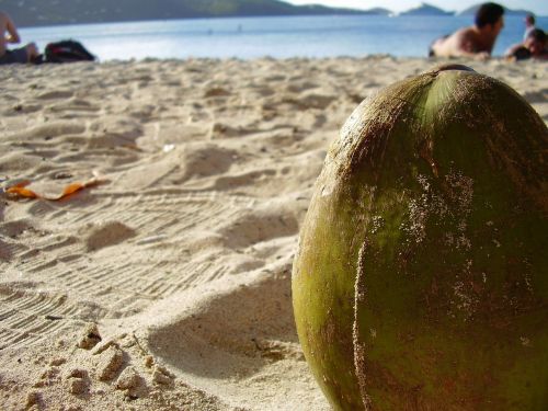 coconut close-up sand
