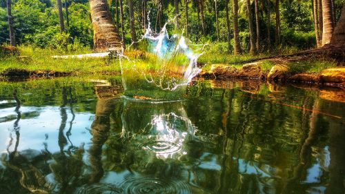 coconut water wall