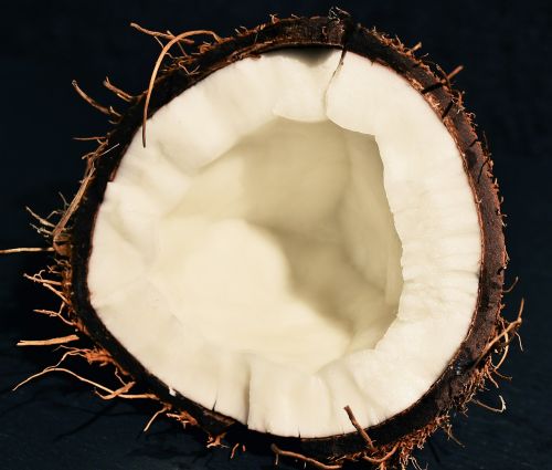 coconut diet fetus