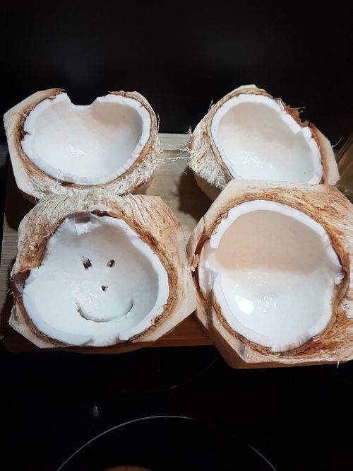 coconut rawvegan food background