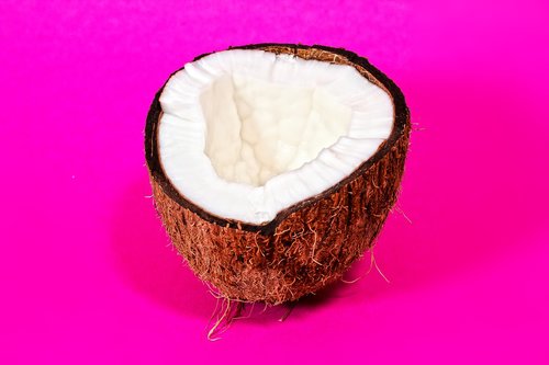 coconut  drupe  tropical