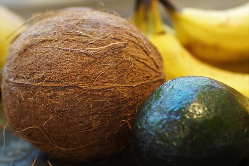 coconut  walnut  tropical