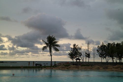coconut  resort  sunset