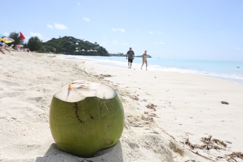 coconut  sea  beach