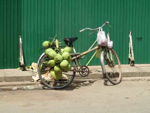 coconut bicycle green