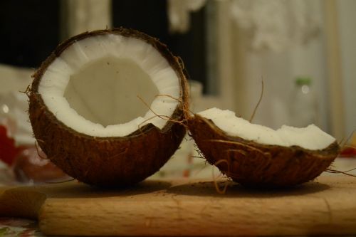 coconut nut exotic