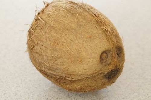 coconut brown nut