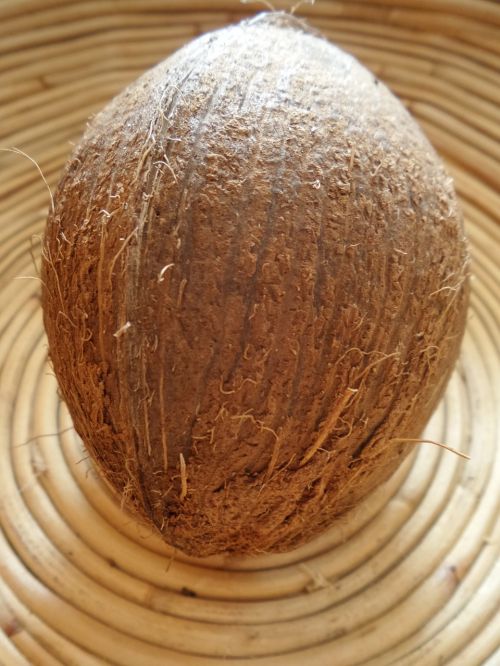coconut round fruit