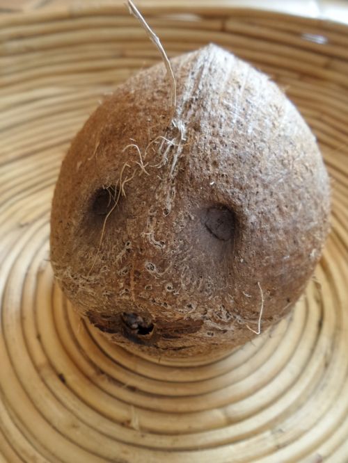 coconut fruit facial