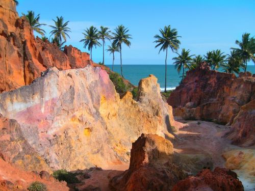 coconut trees cliffs mar