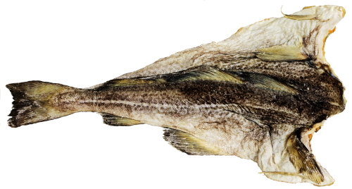 cod salado fish