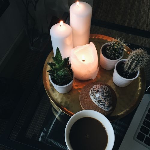 coffee light cactus