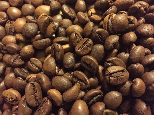 coffee grain brown