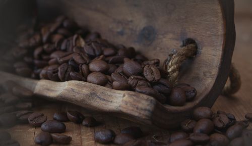 coffee coffee beans natural product