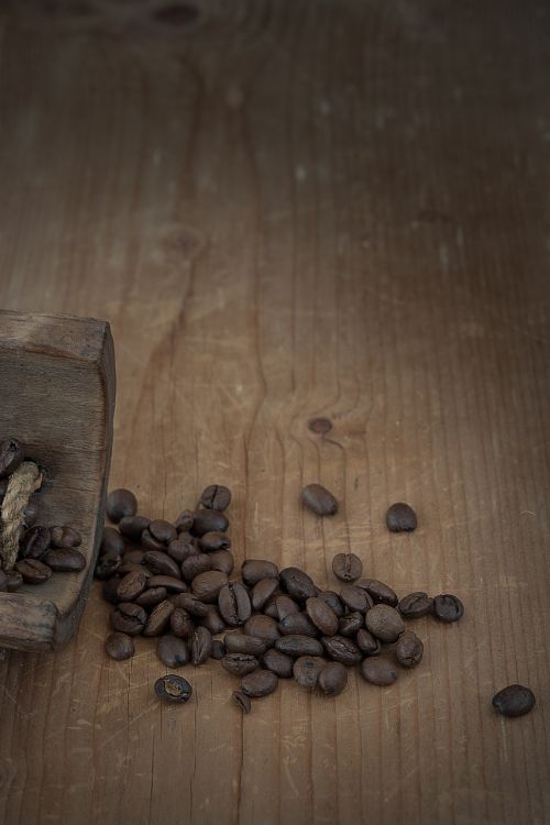 coffee coffee beans natural product