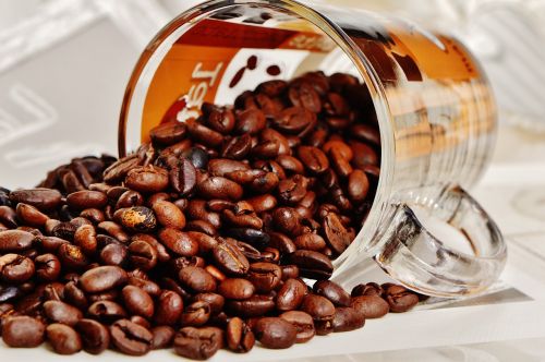 coffee coffee beans cup