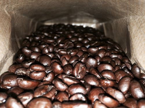 coffee coffee beans roasted