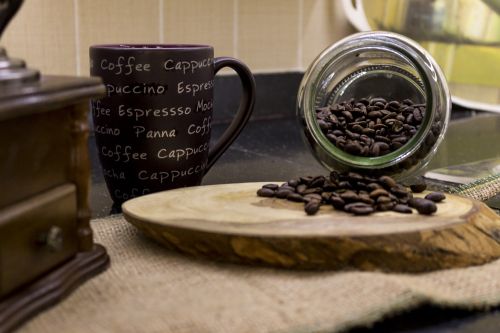 coffee seed coffee seeds