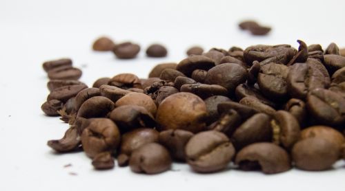 coffee grains coffee beans