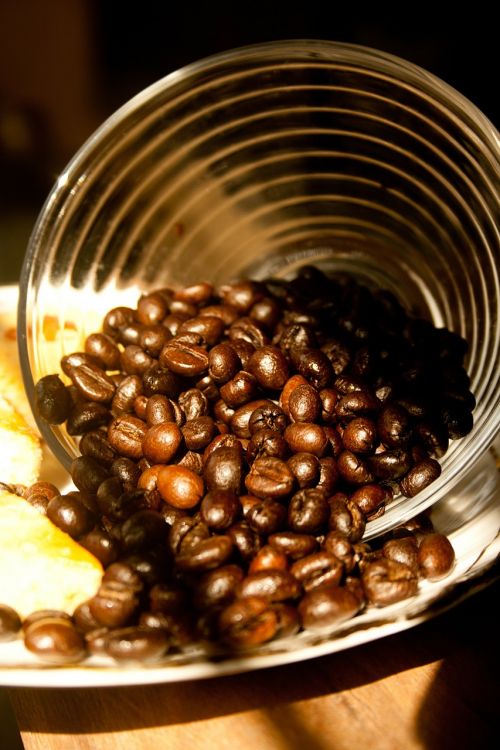 coffee beans brown