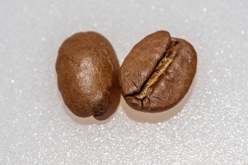 coffee coffee bean roasted